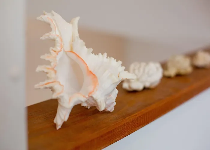 Centar Nina Apartamento